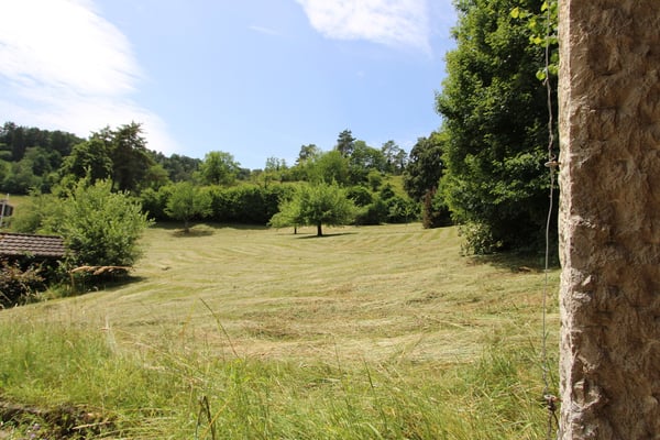 Natur PUR! Ihr neues Zuhause in Dittingen BL 11