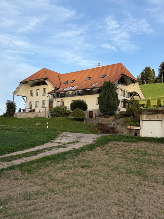 Neu sanierte 3.5-Zimmer-Wohnung in historischen Haus 12
