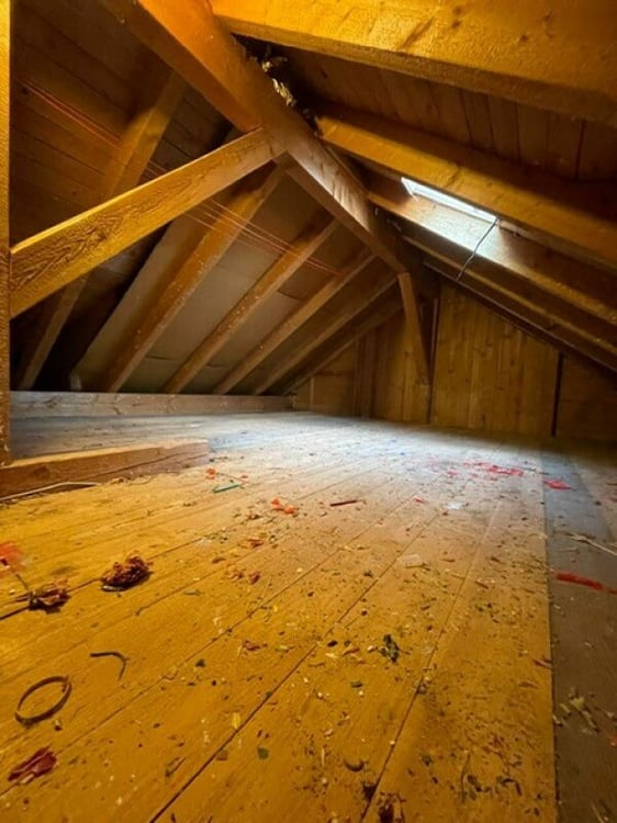 Maison mitoyenne avec jardin 12