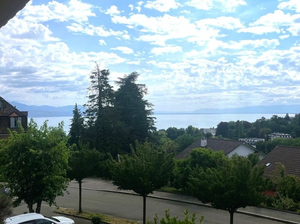 Élégant 1.5 pièces avec terrasse et vue lac d'exception 16