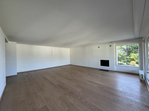 Élégant 1.5 pièces avec terrasse et vue lac d'exception 4