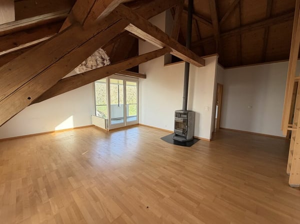 Magnifique appartement 13