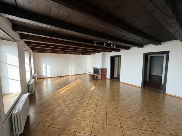 Magnifique appartement 4