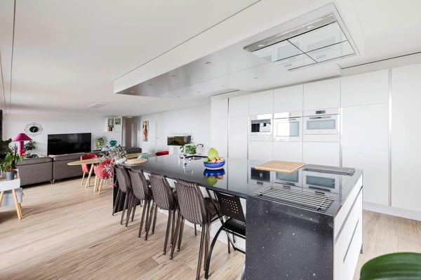 Vue imprenable sur la ville, le lac et les Alpes 2