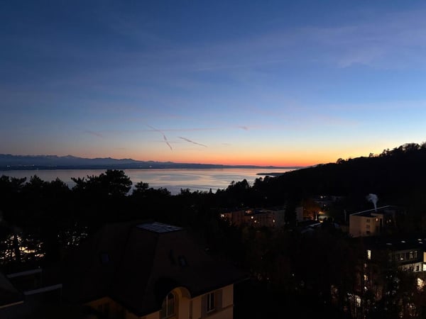 Vue imprenable sur la ville, le lac et les Alpes 6