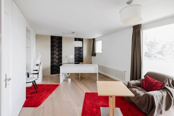 Magnifique villa contemporaine 4