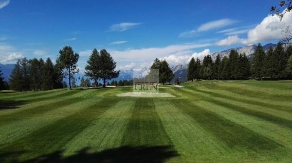Spacieux appartement 1.5 pièces en rez de chaussée avec grande terrasse et pelouse 18