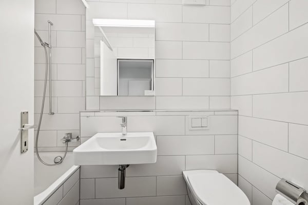 sonnige Dachwohnung im Gundeli 4