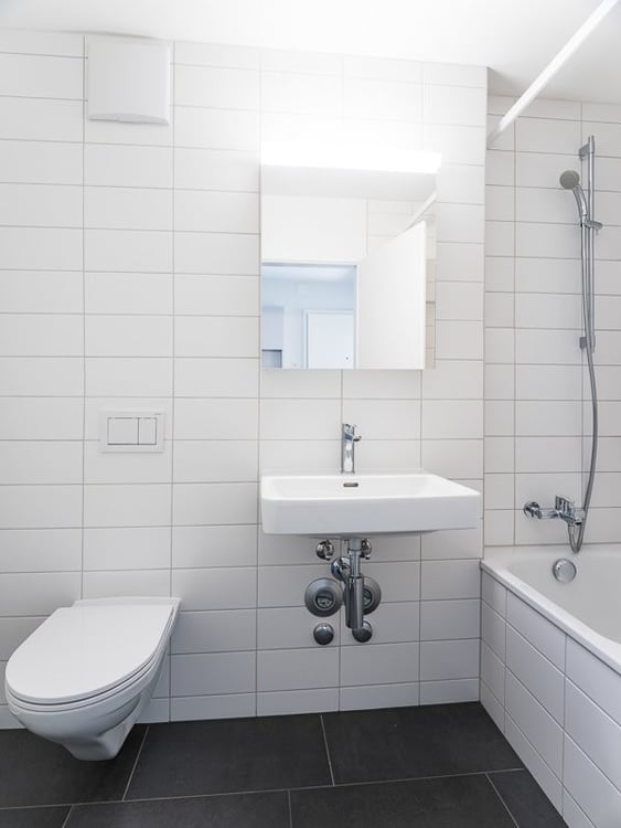 Wohnen direkt an der Birs... 6