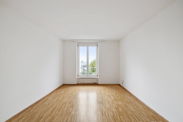 Blick über das ganze Birseck... 6