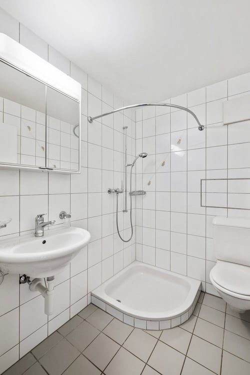 Blick über das ganze Birseck... 4