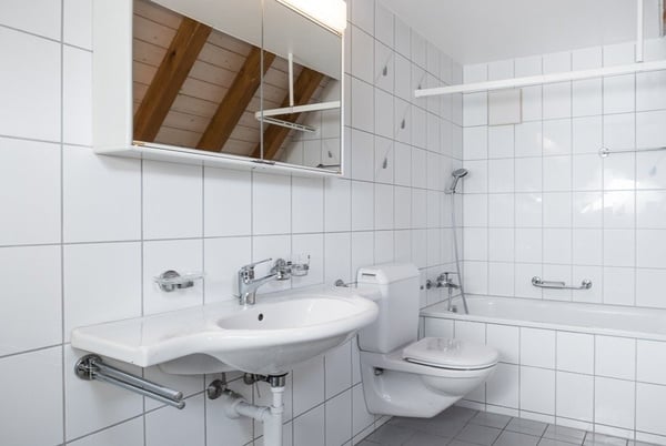 Blick über das ganze Birseck... 3