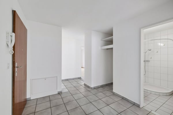 Blick über das ganze Birseck... 7