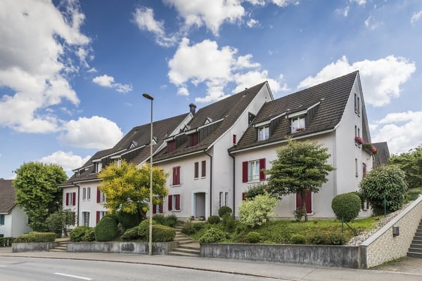 Blick über das ganze Birseck... 1