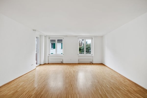 Blick über das ganze Birseck... 5