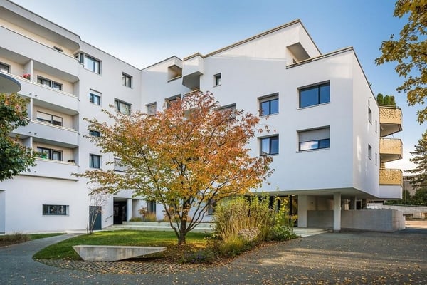 Attraktive 2.5 Zimmer Wohnung für stilles Gewerbe in Allschwil 2