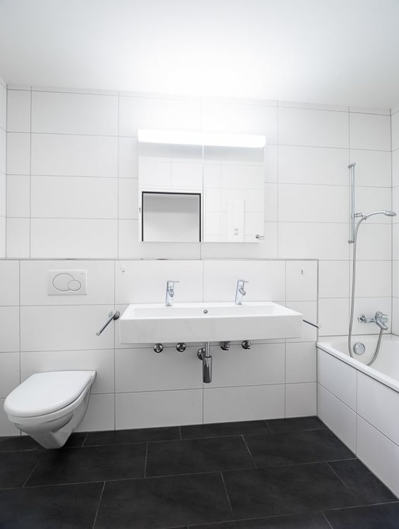 Attraktive 2.5 Zimmer Wohnung für stilles Gewerbe in Allschwil 4