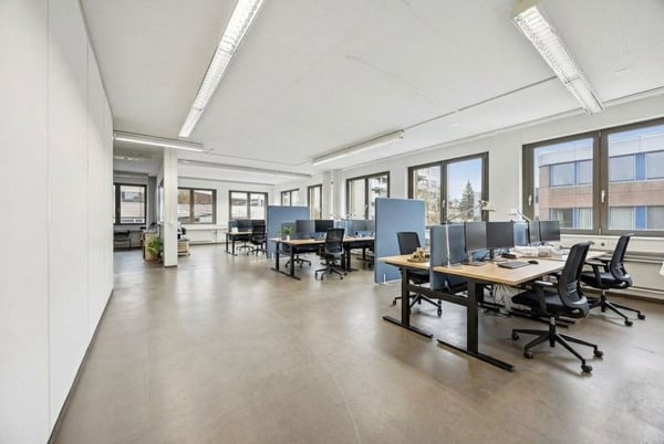 vielseitige 269 m2 Gewerbefläche in Geroldswil 2