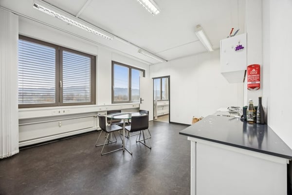 vielseitige 269 m2 Gewerbefläche in Geroldswil 8