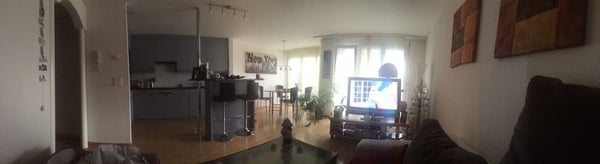 Wohnen in Winterthur 4
