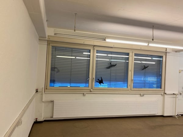 Top-Gewerberaum mitten im Zentrum von Uster zu vermieten! 3
