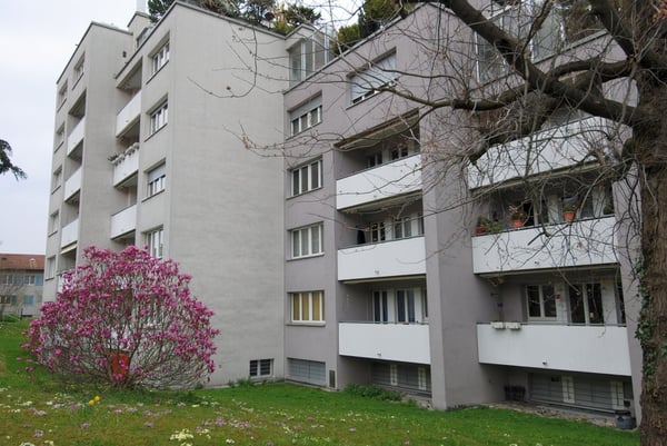 Am Fusse des Üetliberges, beim Albisgüetli 2