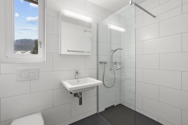 Moderne Wohnung im Neubau Mikado Mühli Killwangen 4