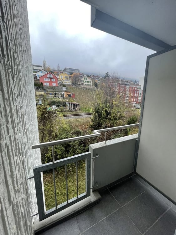 1ER LOYER NET OFFERT - Joli 1 pièces avec vue sur le lac 7