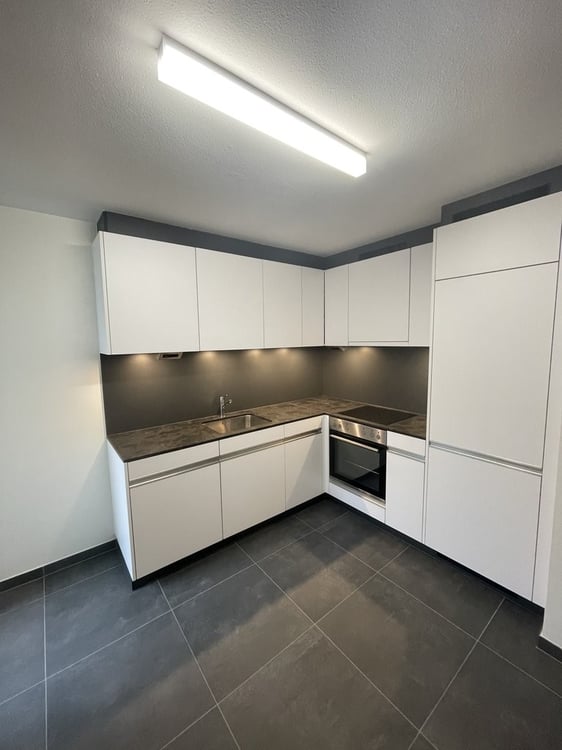 1ER LOYER NET OFFERT - Joli 1 pièces avec vue sur le lac 2