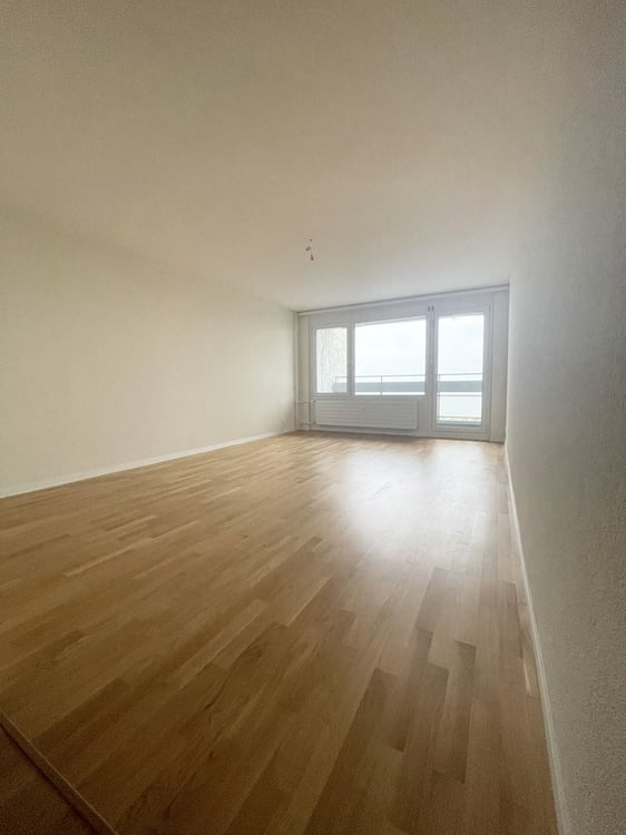 1ER LOYER NET OFFERT - Joli 1 pièces avec vue sur le lac 4