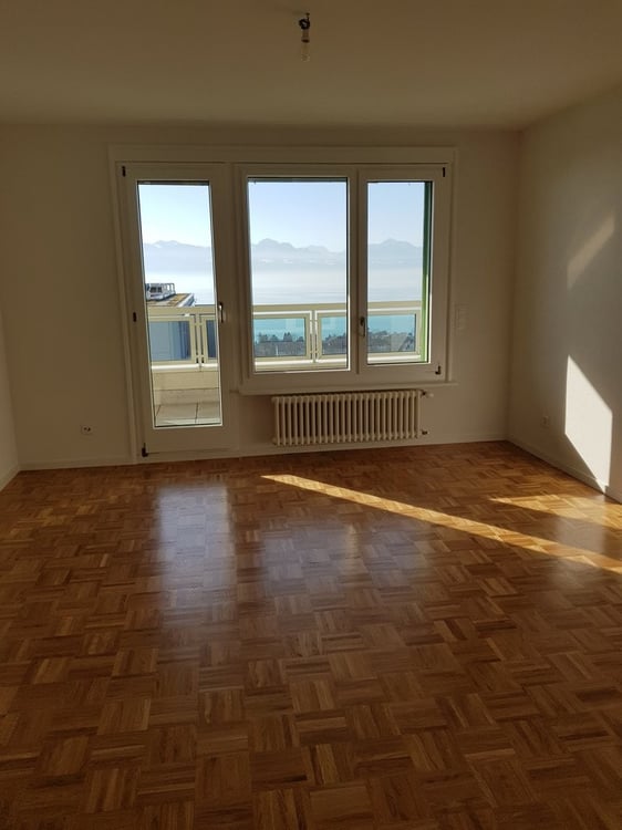 Magnifique 5.5 pièces avec vue sur le lac 5