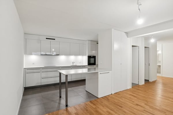 Spacieux 1 pièces, première location après rénovation complète 3