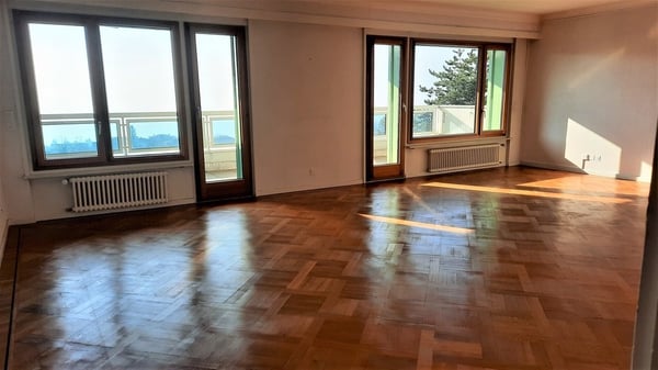 Splendide logement avec une vue sur le lac 2