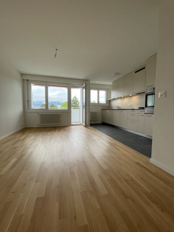 Appartement de 1 pièces entièrement rénové 2