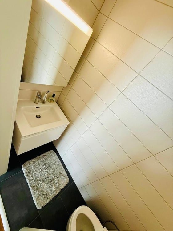 Magnifique appartement de 1.5 pièces avec vue sur le lac 7