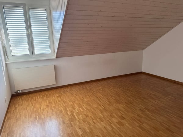 Grand 3.5 pièces dans les combles 5