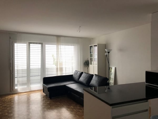 Bel appartement avec vue sur le lac 6