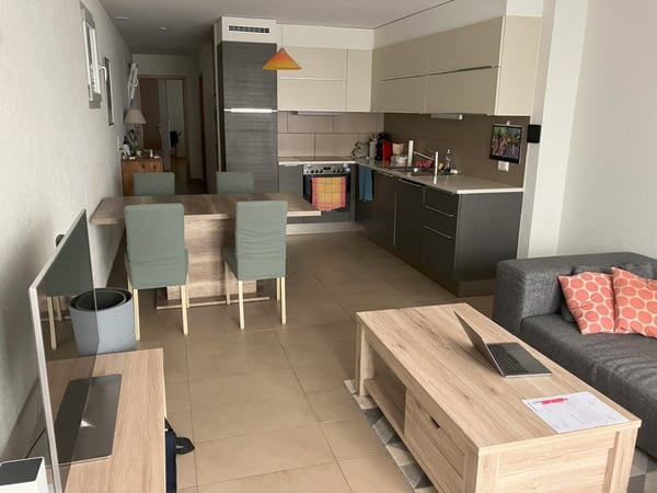 Magnifique appartement avec terrasse dans un quartier calme 1