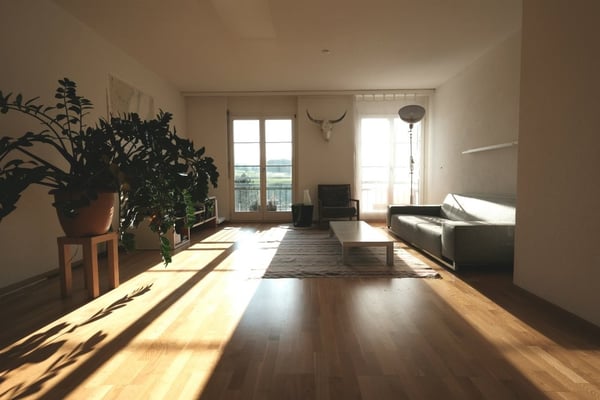 Spacieux logement au centre-ville 2