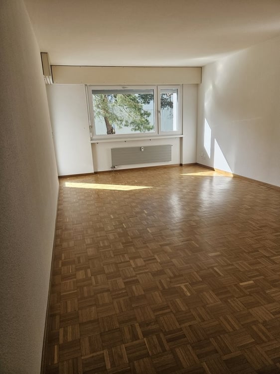 Nachmieter per sofort gesucht! 6