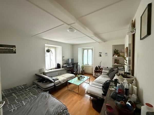 Charmant et spacieux 1.5 pièces à louer 1