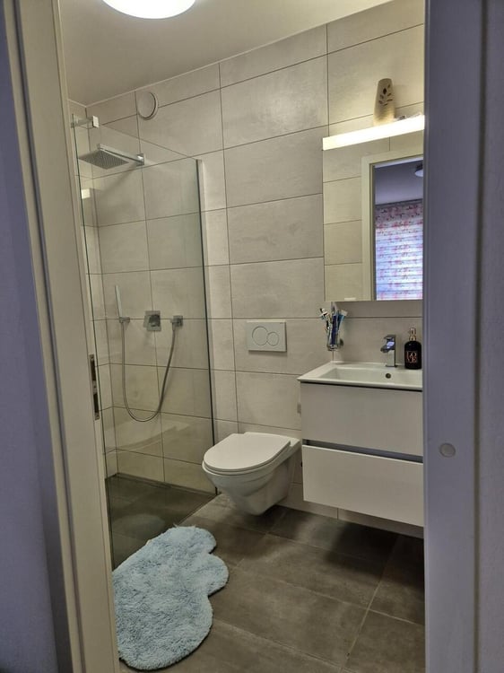 Grand appartement à Sion 10