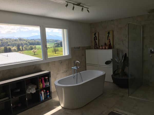 Modernes 2-Zimmer-Einfamilienhaus mit Pool und Solartechnik in Tafers 7