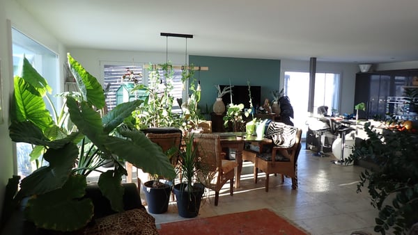 Modernes 2-Zimmer-Einfamilienhaus mit Pool und Solartechnik in Tafers 11