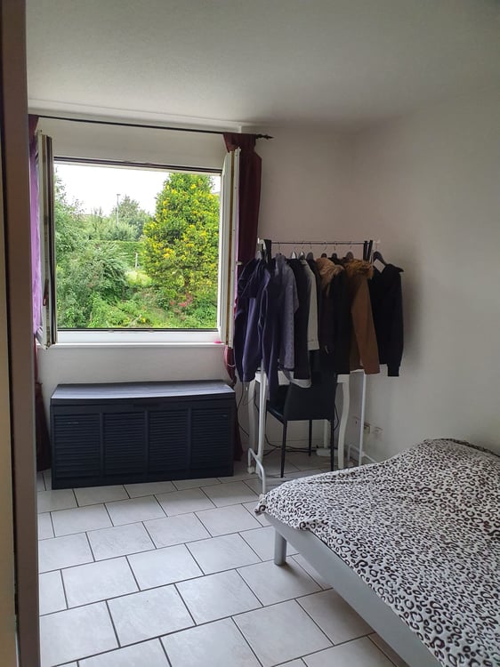 2-Zimmer-Wohnung in ruhiger Lage in Düdingen 5