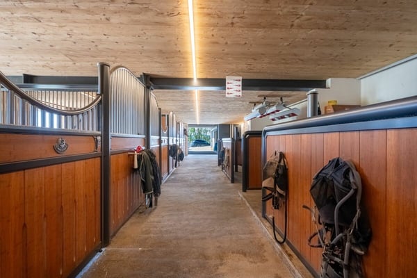 Einmaliges Reitsportanwesen in Oberramsern 10