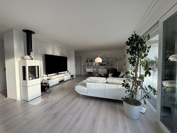 1.5 Z.-Attika Wohnung, 177m2 Netto Wohnfläche, 145m2 Dachterrasse 6