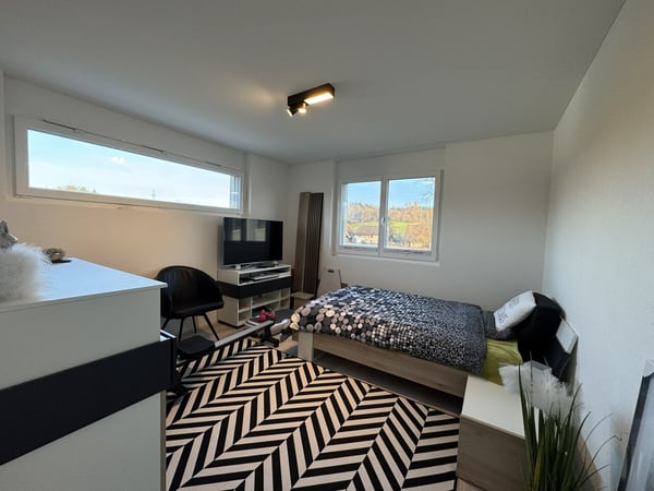 1.5 Z.-Attika Wohnung, 177m2 Netto Wohnfläche, 145m2 Dachterrasse 9