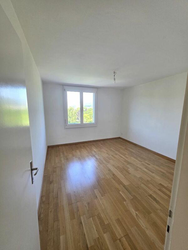 Helle und Grosszügige 5.5Zi-Wohnung