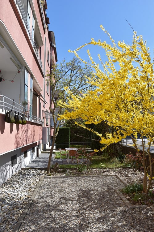 elegante 1.5-Zimmerdachwohnung mit Dachterrasse 22